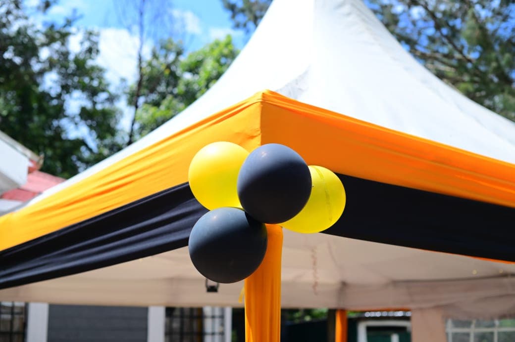 Culinary artistry and presentation